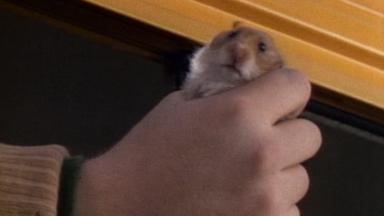 Aquellos maravillosos años 2x8