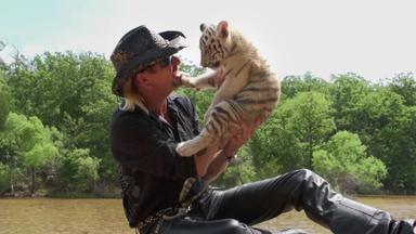 Tiger King 1x1