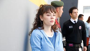Avlu: El patio 1x5