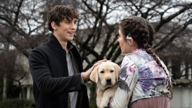 Embrujadas 1x13