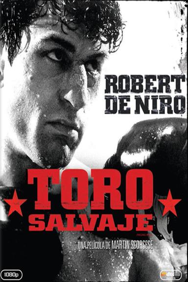 Toro salvaje