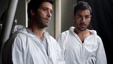 El barco 2x12
