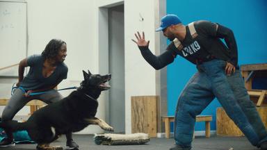Terapia Canina 1x3