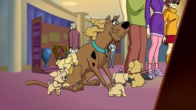 ¿Qué hay de nuevo, Scooby-Doo? 2x7